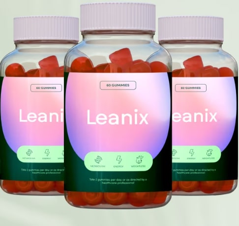 Leanix